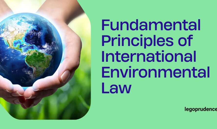 Fundamental principles of International Environmental Law