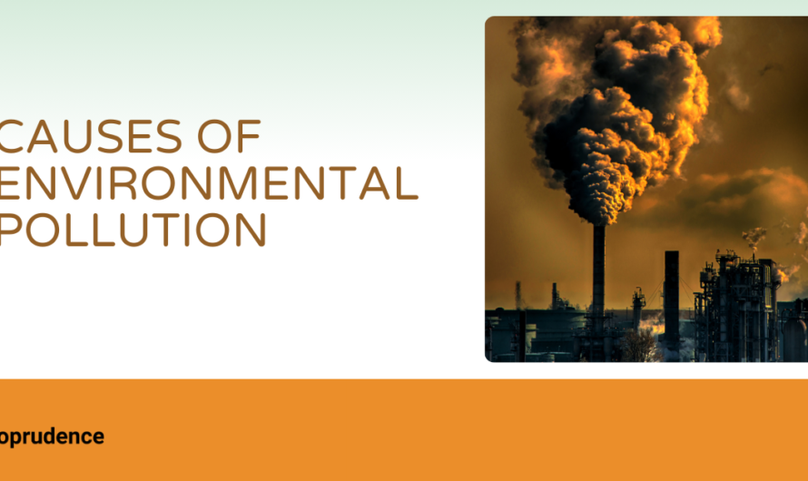Environmental Pollution